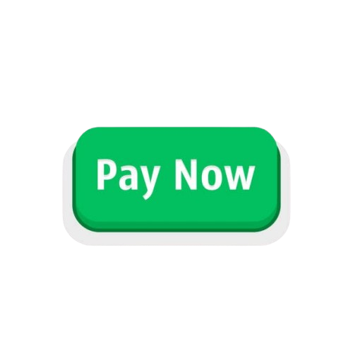 Pay Now button